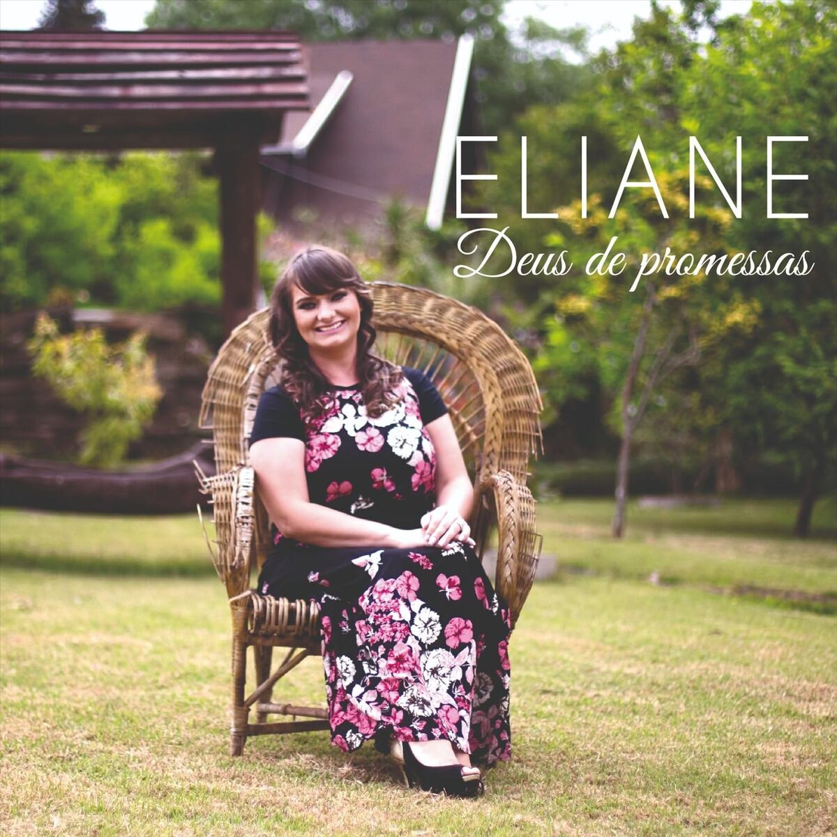 Album cover of Deus de Promessas