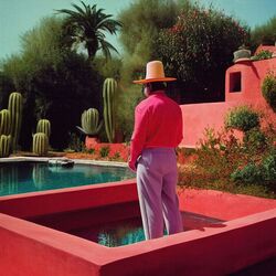 Cover of buena vista!