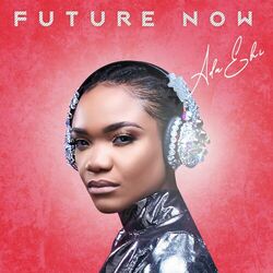 Cover of Future Now