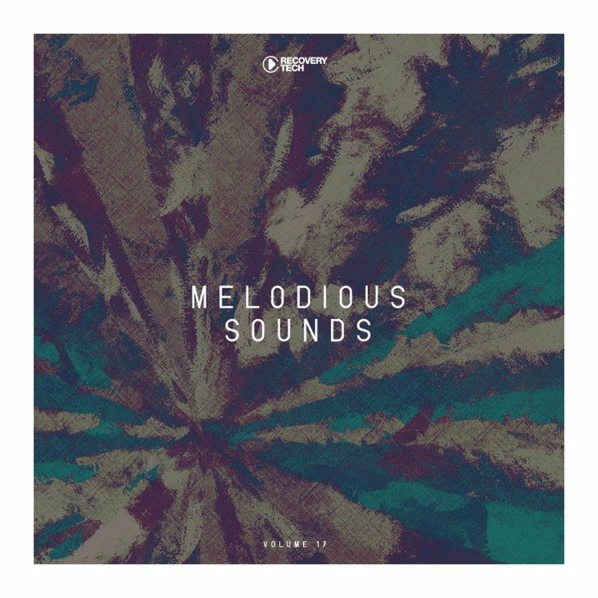 Album cover of Melodious Sounds, Vol. 17