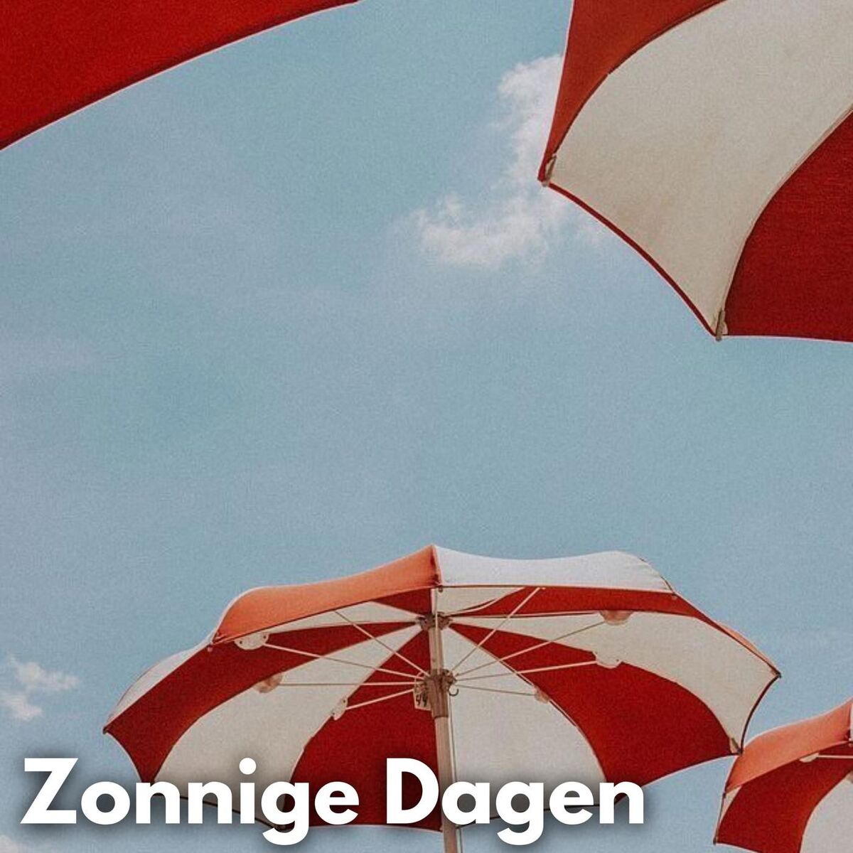 Album cover of Zonnige Dagen