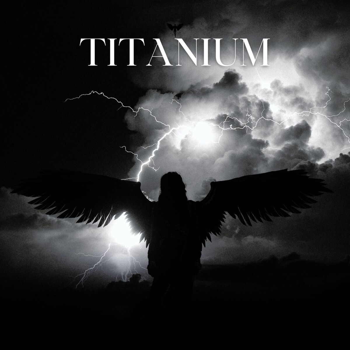 Album cover of Titanium