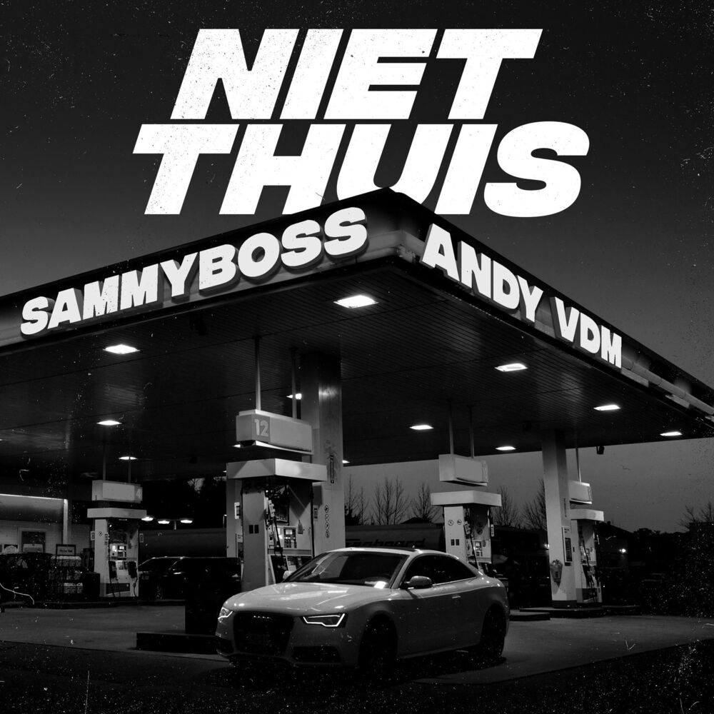 Picture of Niet Thuis