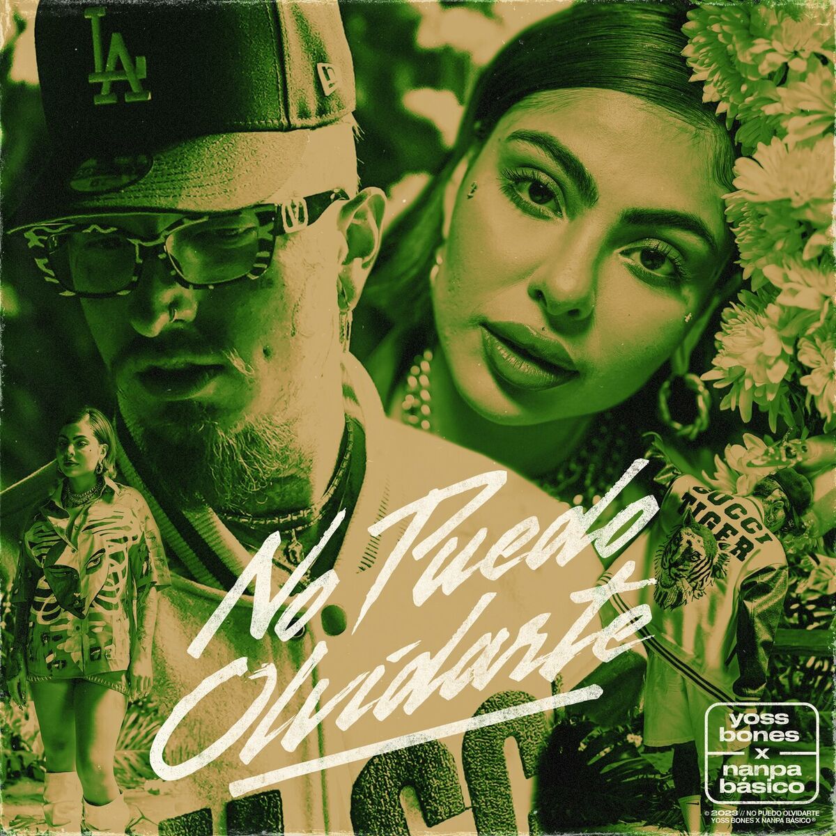 Album cover of No Puedo Olvidarte