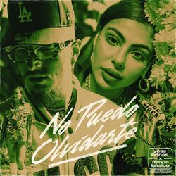 Cover of No Puedo Olvidarte