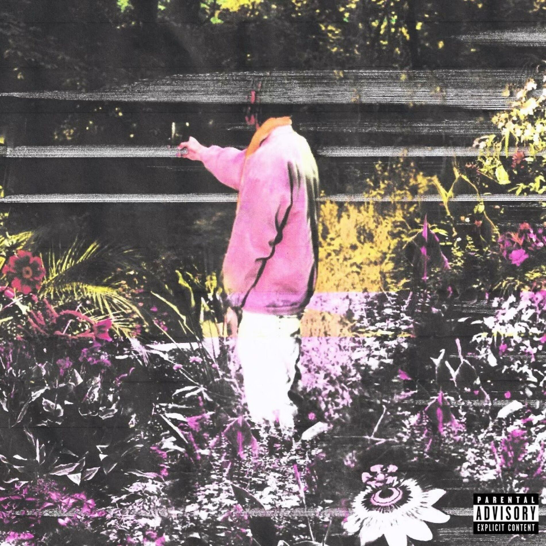 Album cover of OUTSIDE LOOKING IN