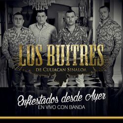 Cover of Enfiestados Desde Ayer: En Vivo Con Banda