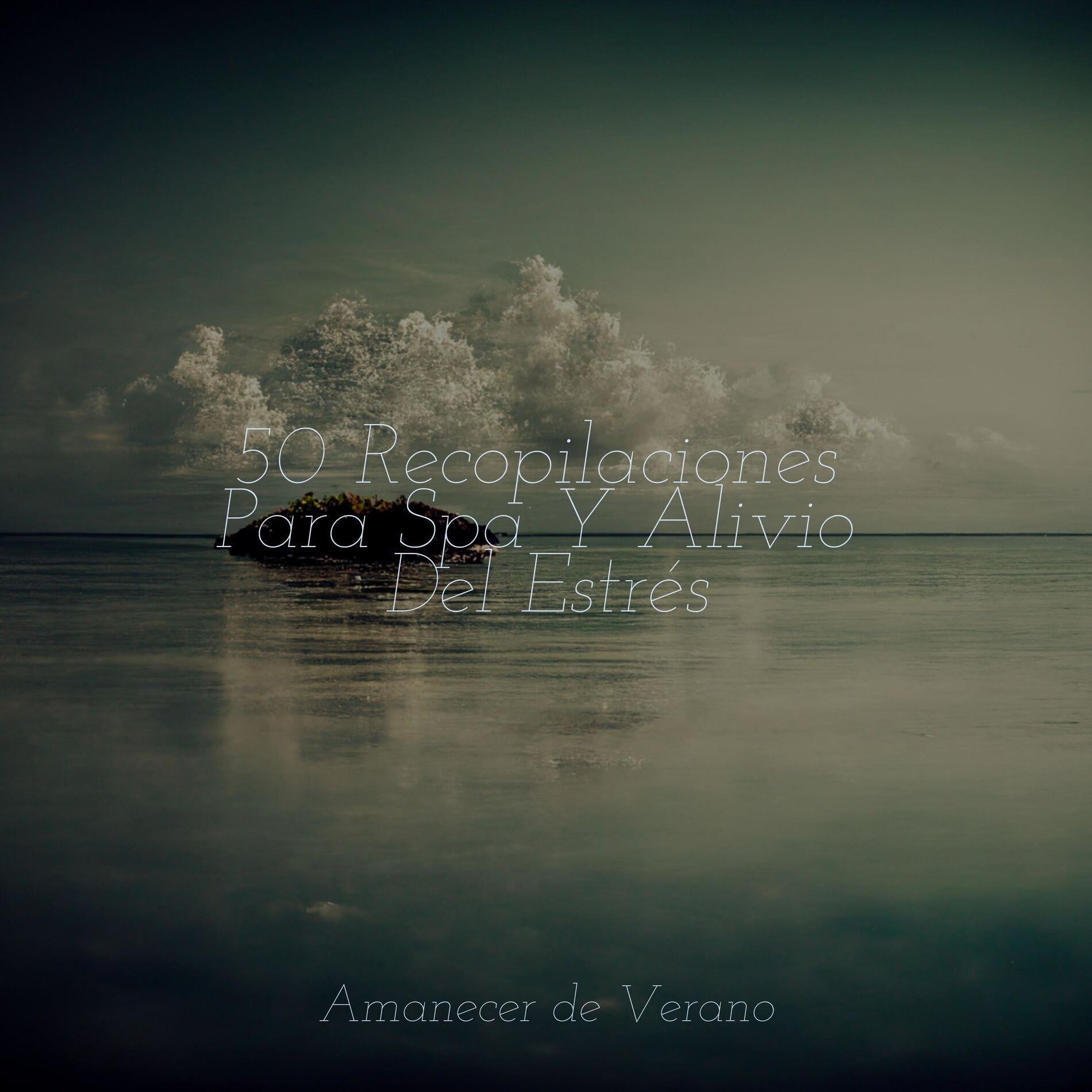 Album cover of 50 Recopilaciones Para Spa Y Alivio Del Estrés