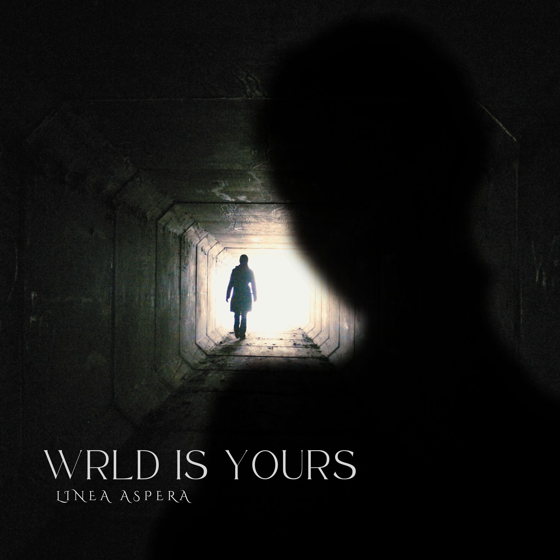 Album cover of WRLD IS YOURS