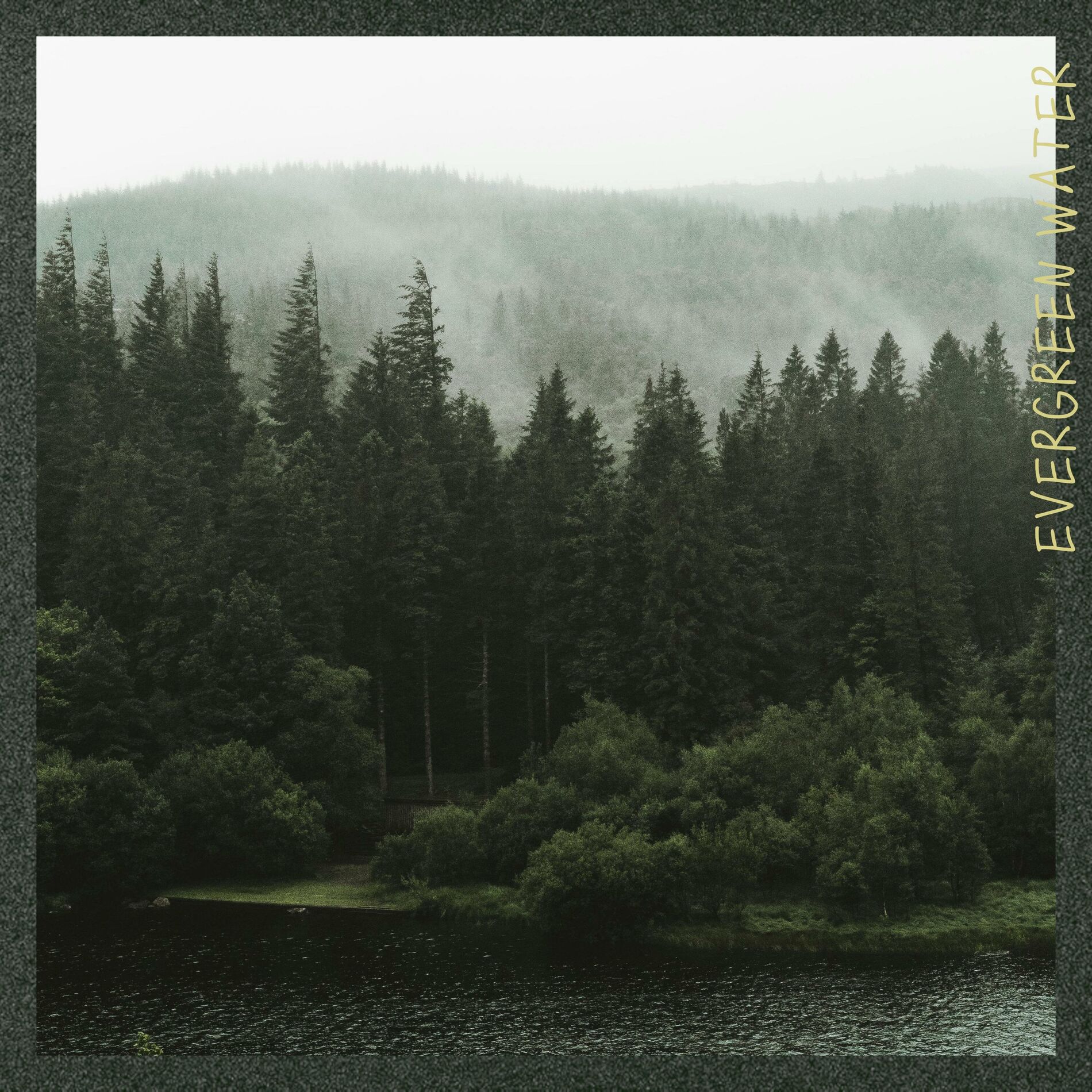 Album cover of Evergreen Water