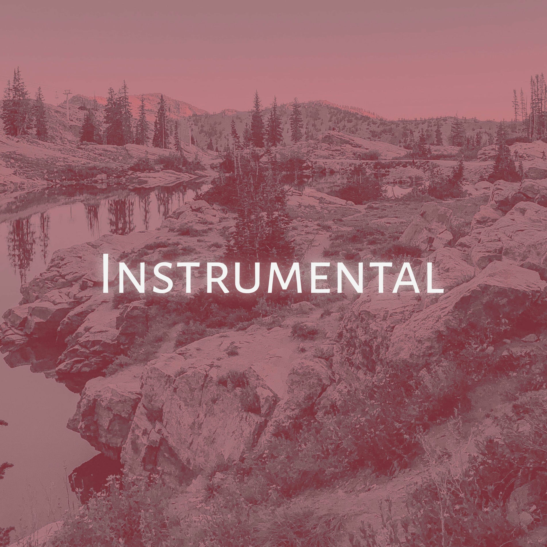 Album cover of Amour Plastique