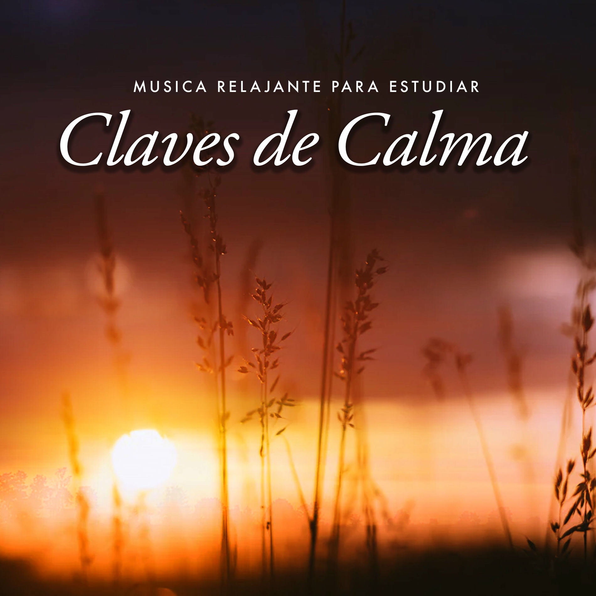 Album cover of Claves de Calma