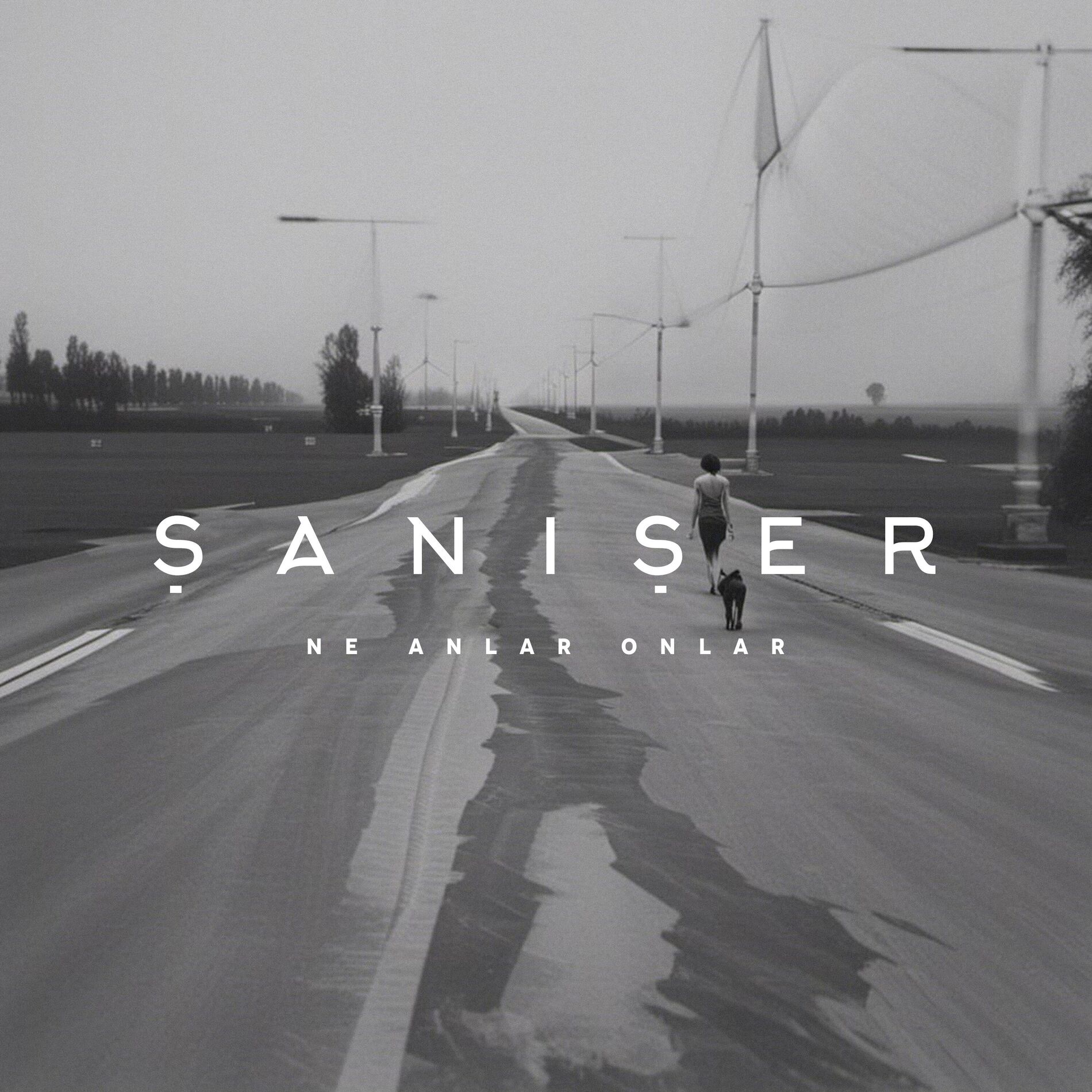 Album cover of Ne Anlar Onlar