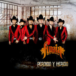 Cover of Perdido y Herido
