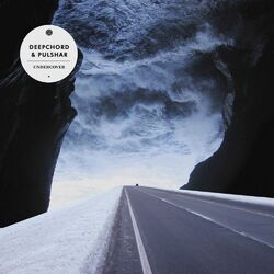 Cover of Undercover