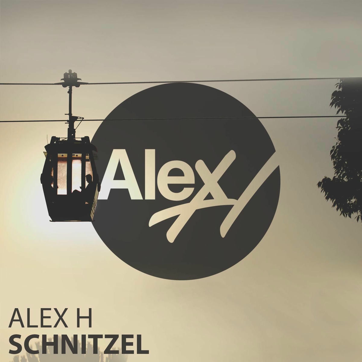 Album cover of Schnitzel