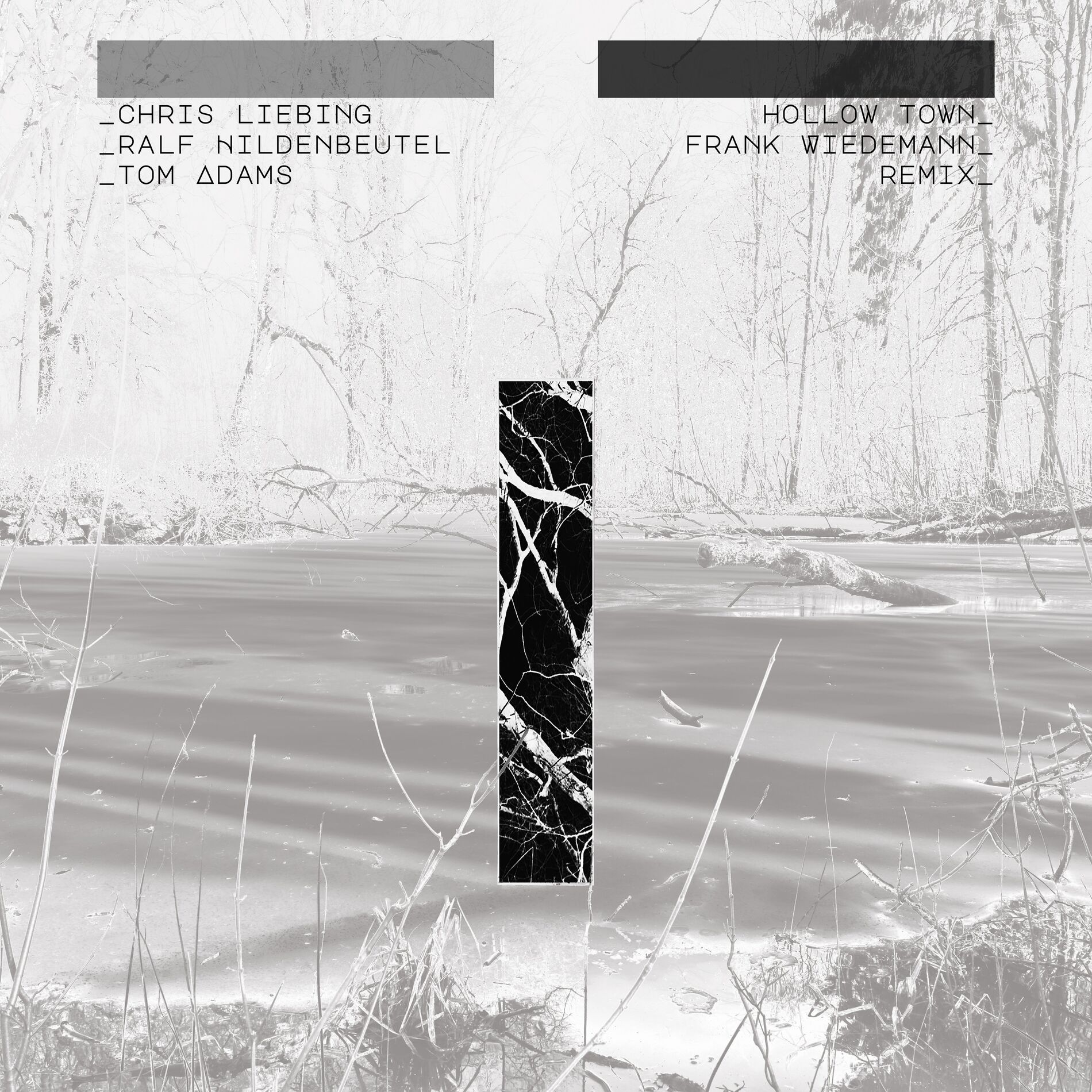 Album cover of Hollow Town (Frank Wiedemann Remix)