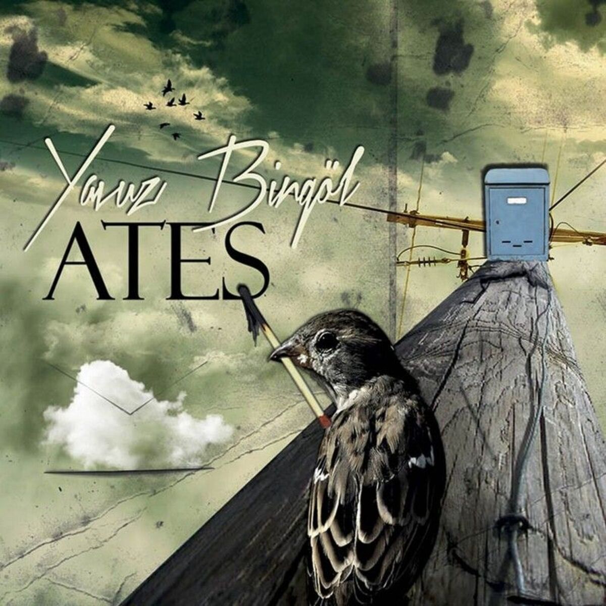 Album cover of Saçlarını Taramışsın