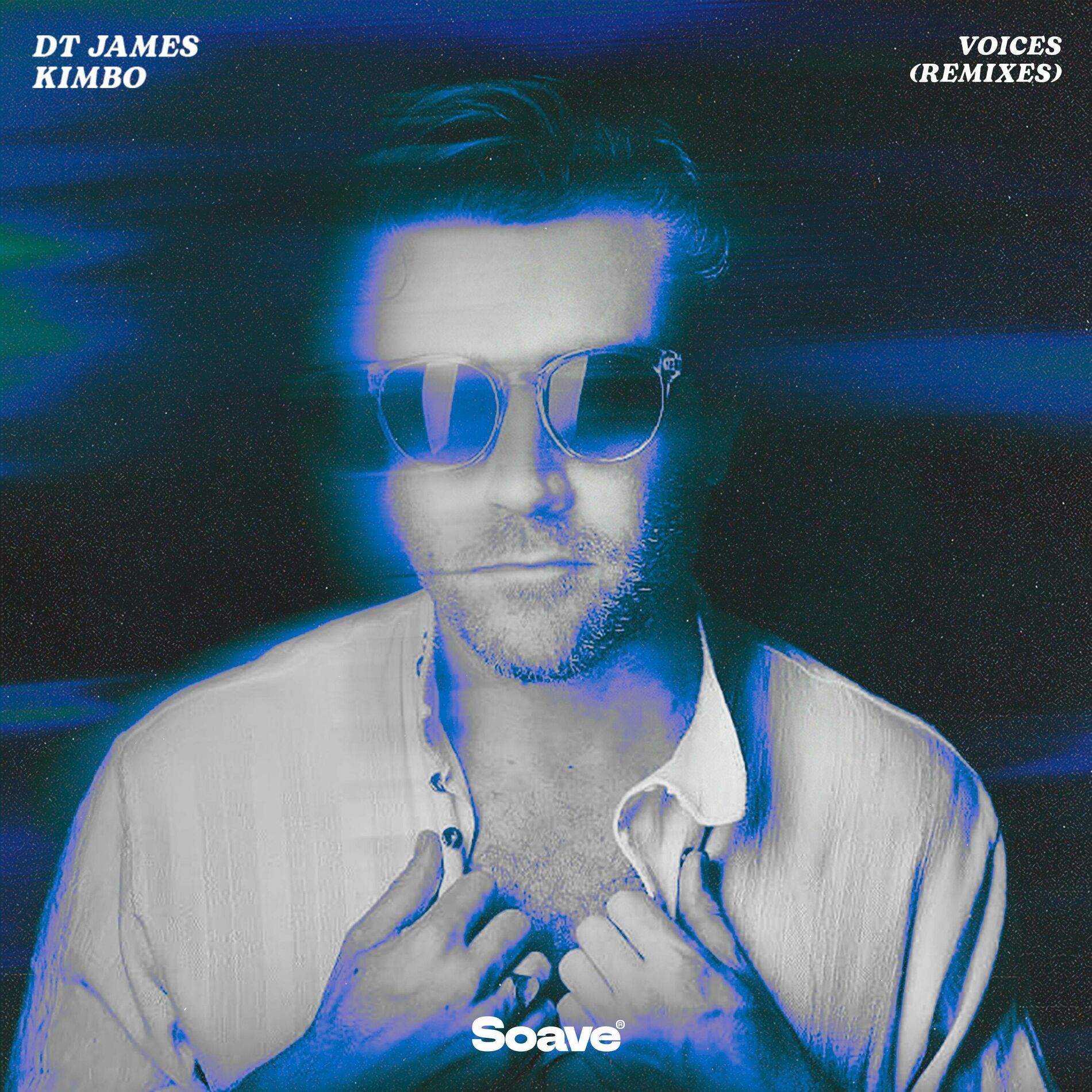 Album cover of Voices (Remixes)