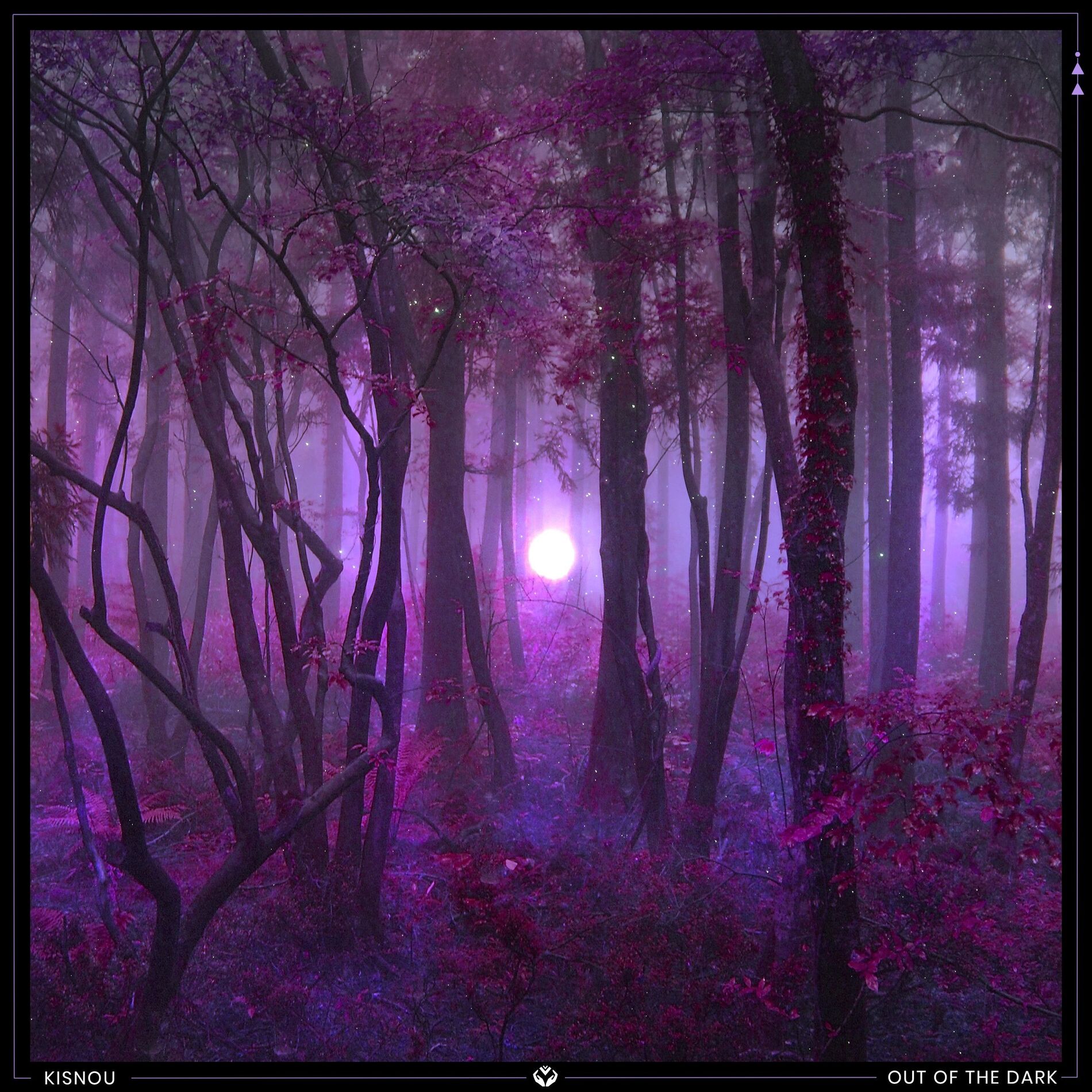 Album cover of Blackrose