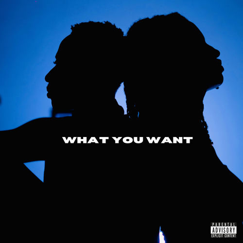 WHAT YOU WANT