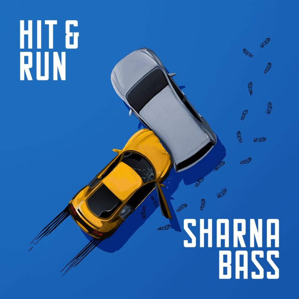 Picture of Hit & Run