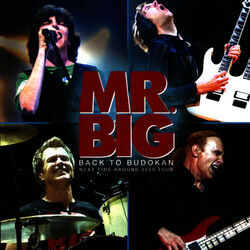 Cover of Back To Budokan