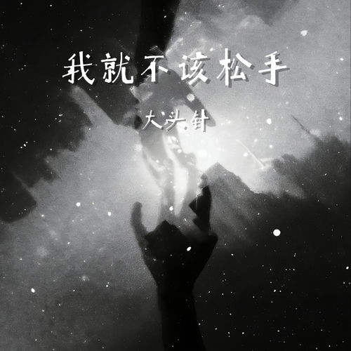 我就不该松手