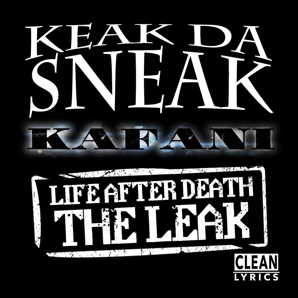 Picture of Life After Death: The LEAK