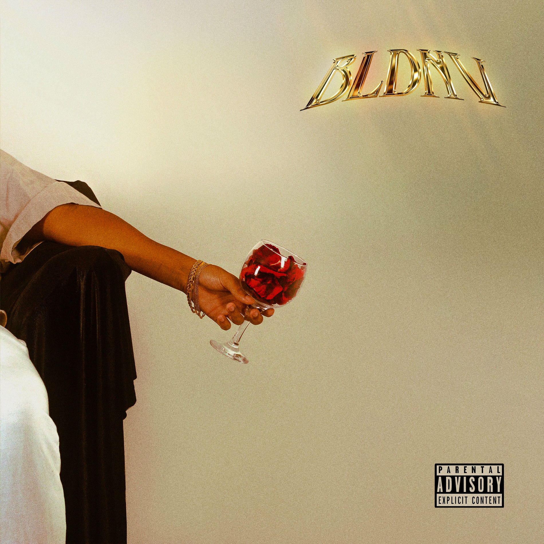 Album cover of Bldnv