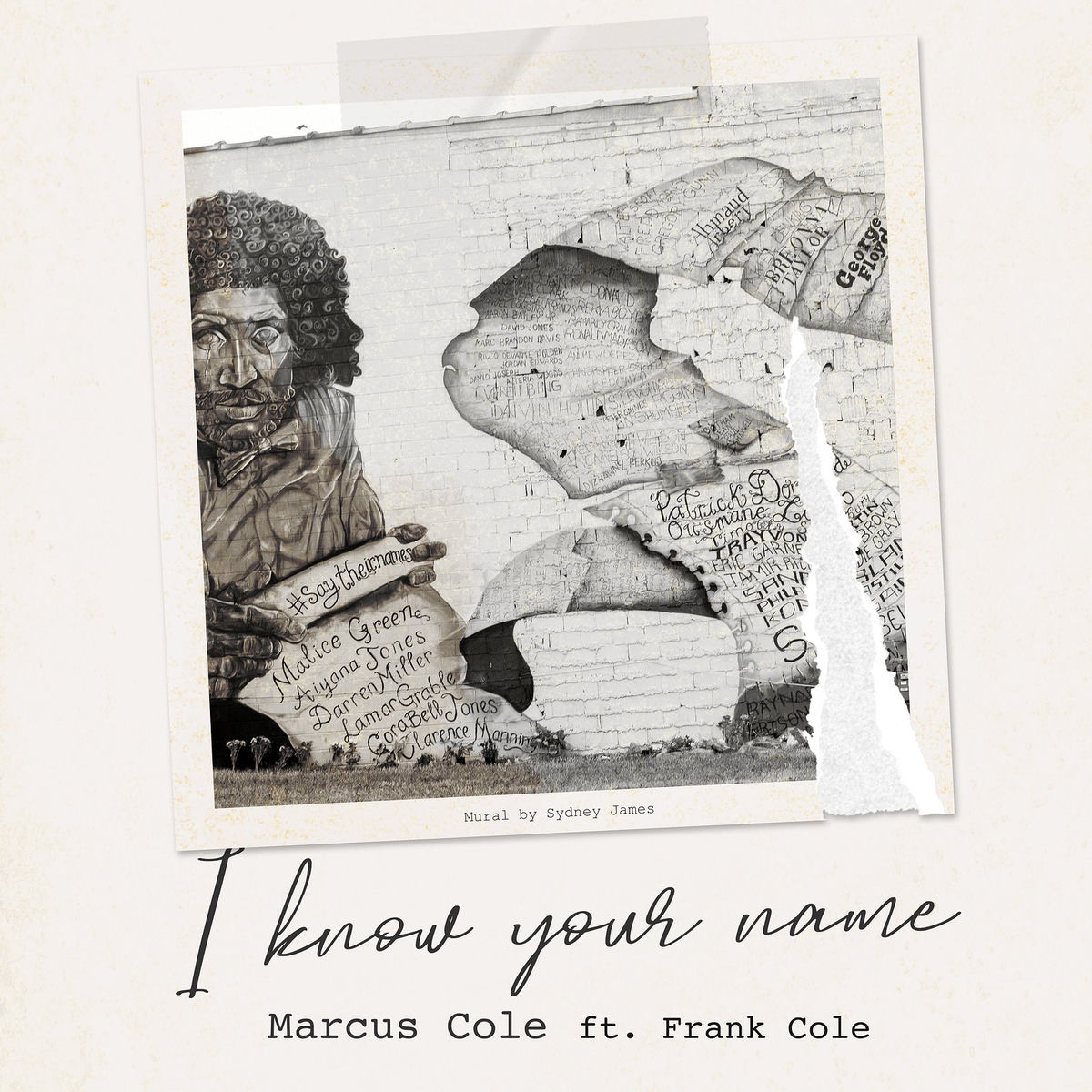 洋楽 Marcus Cole CDS Marcus Cole: albums, songs, concerts | Deezer