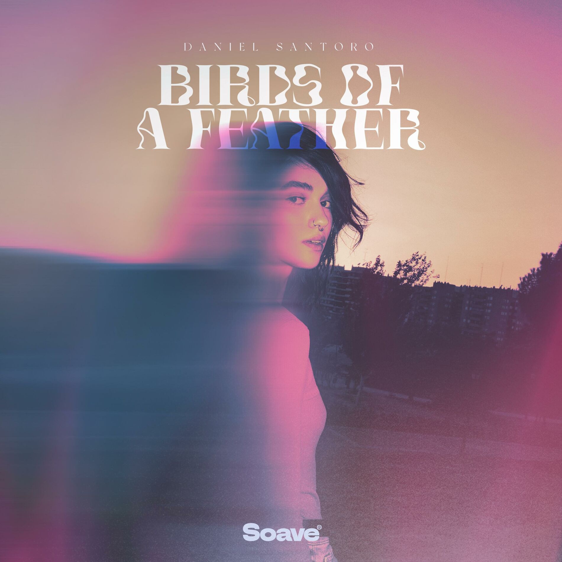 Album cover of BIRDS OF A FEATHER