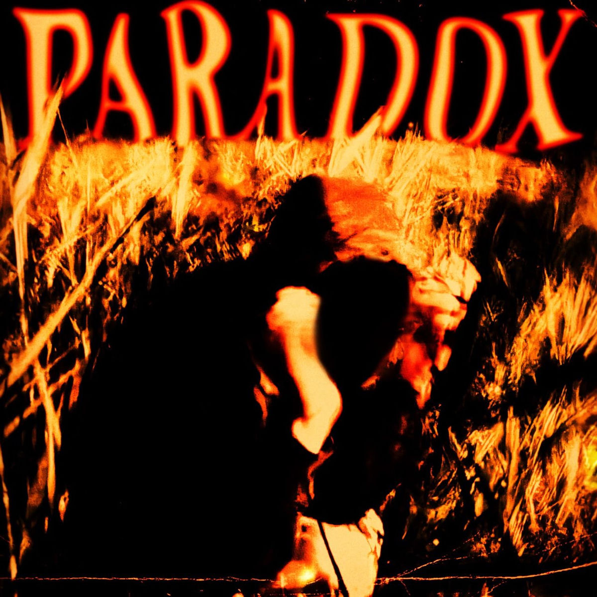 Album cover of PARADOX