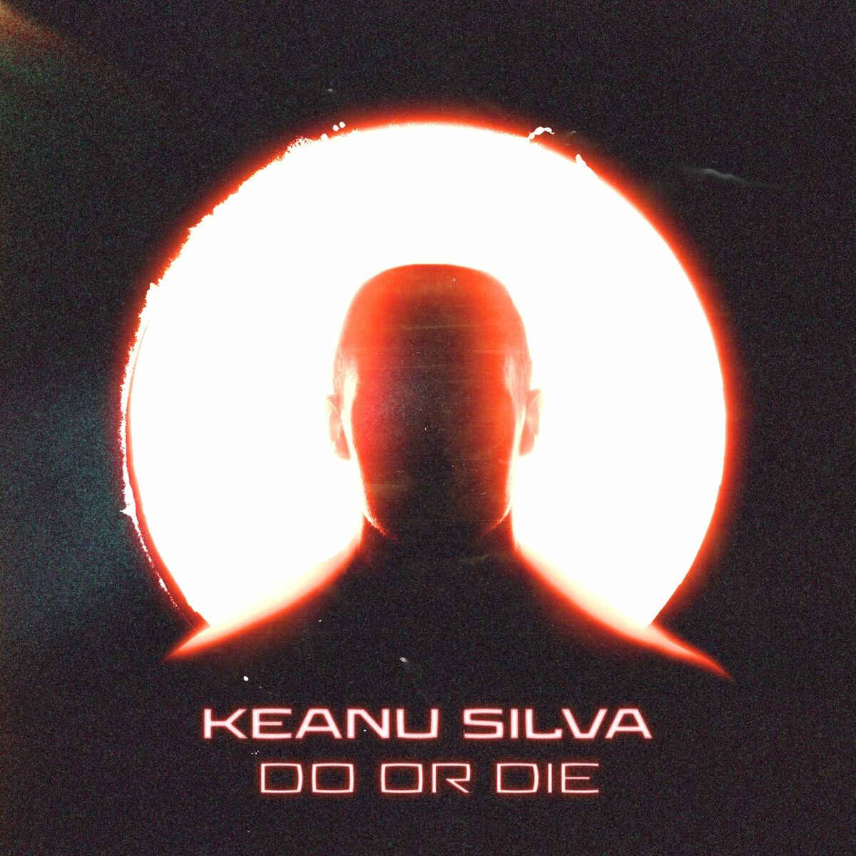 Album cover of Do Or Die