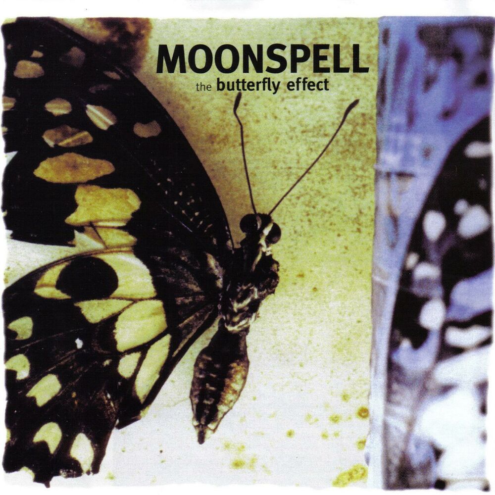 Picture of The Butterfly Effect