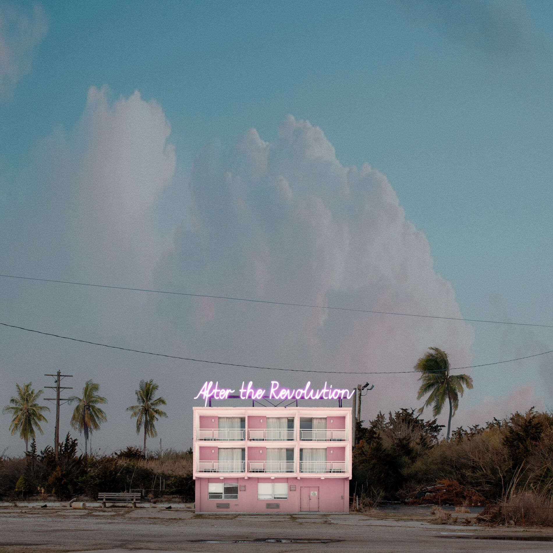 Album cover of After the Revolution