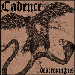 Cover of Destroying Us