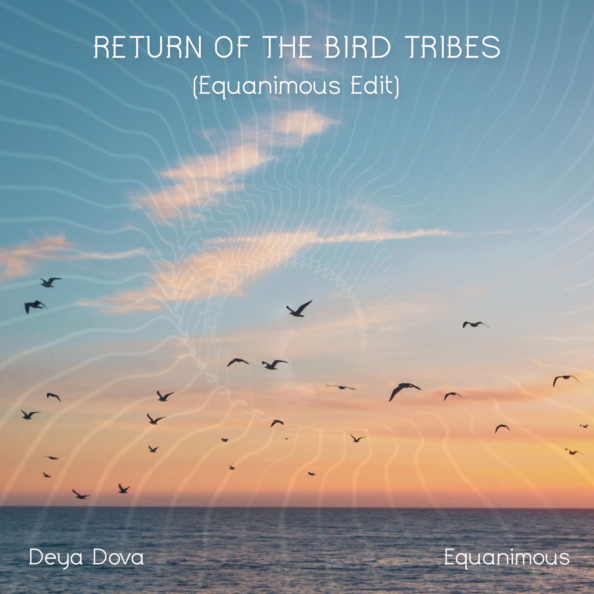Album cover of Return of the Bird Tribes (Equanimous Edit)