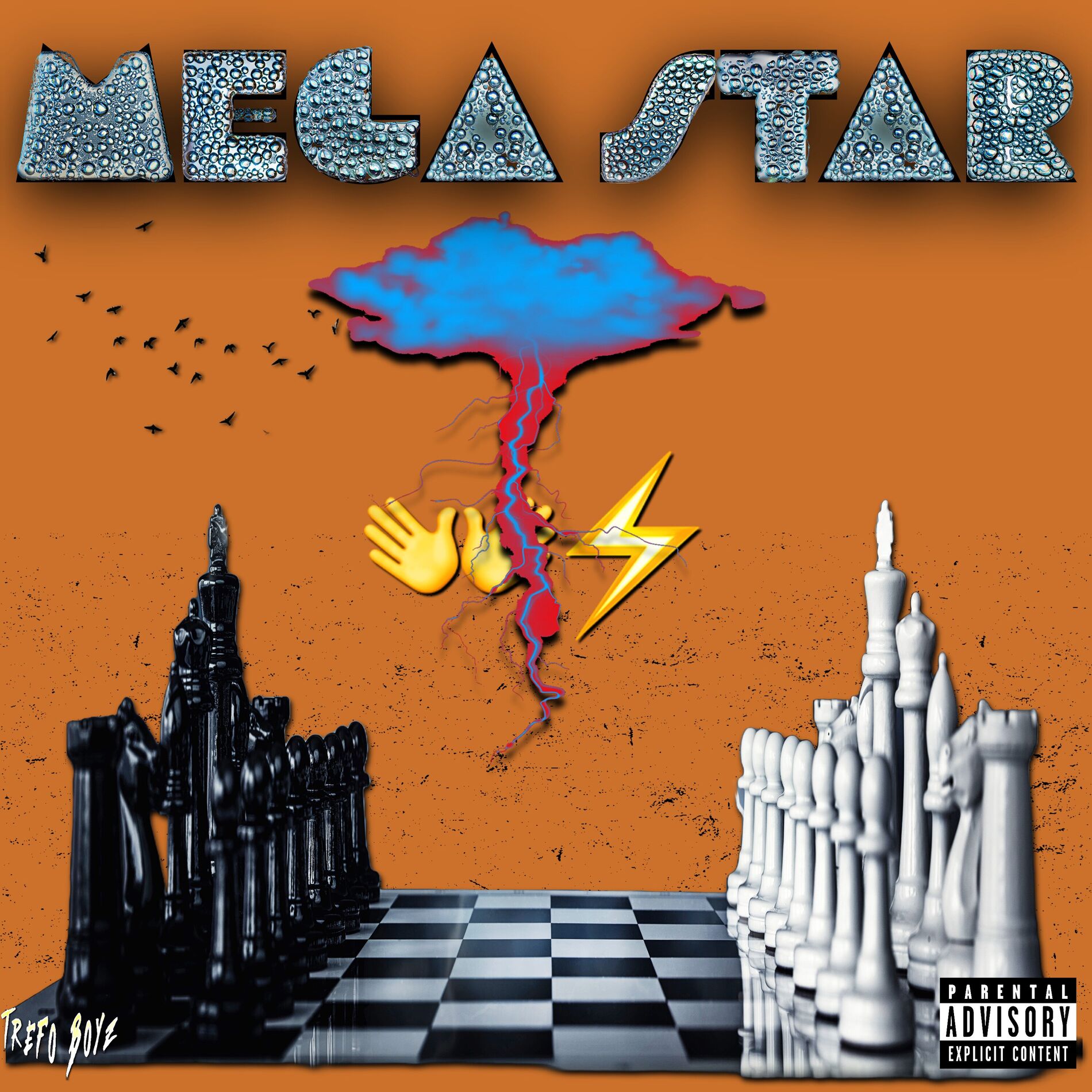 Album cover of Mega Star