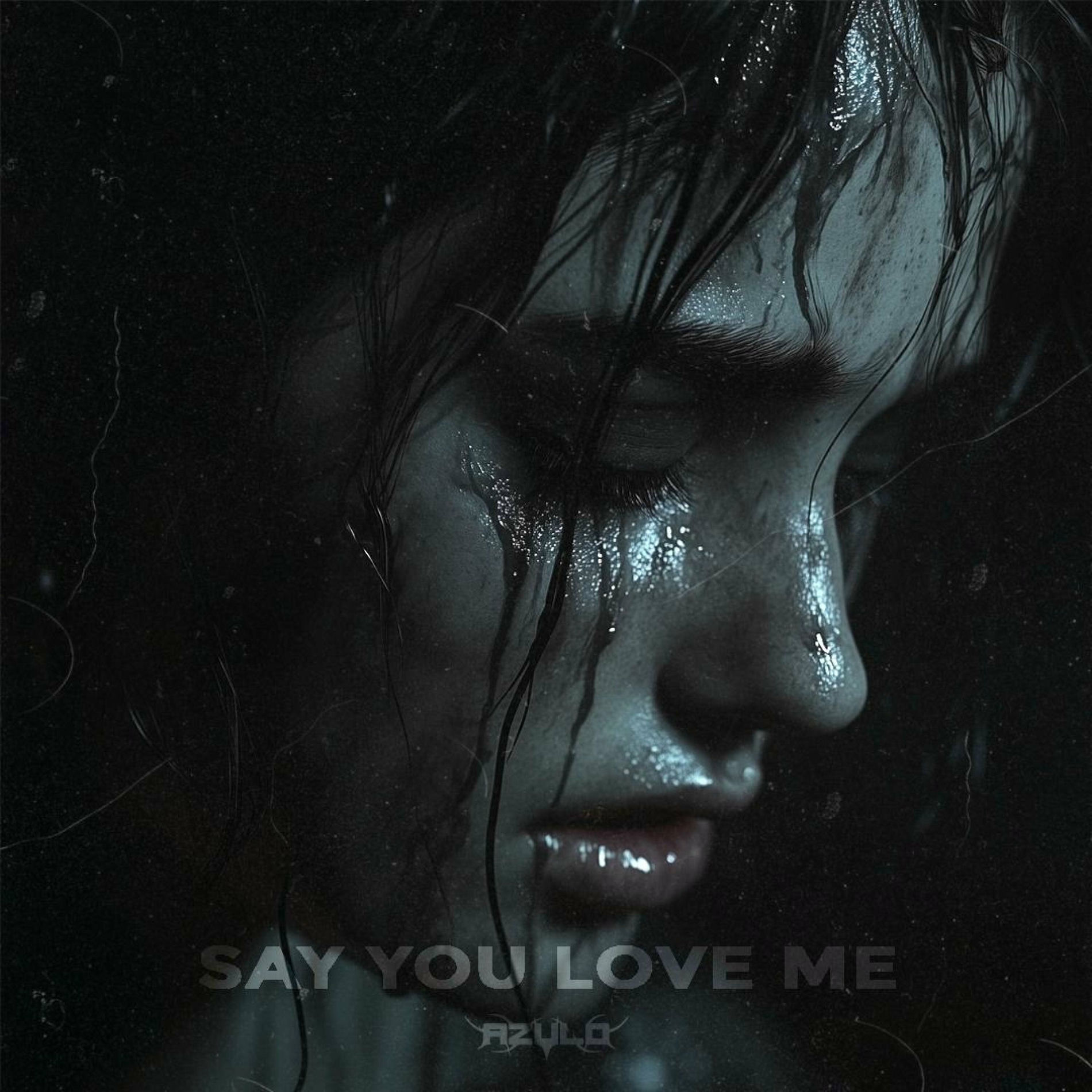 Album cover of Say You Love Me