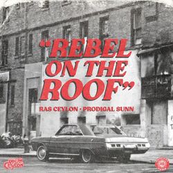Cover of Rebel on the Roof