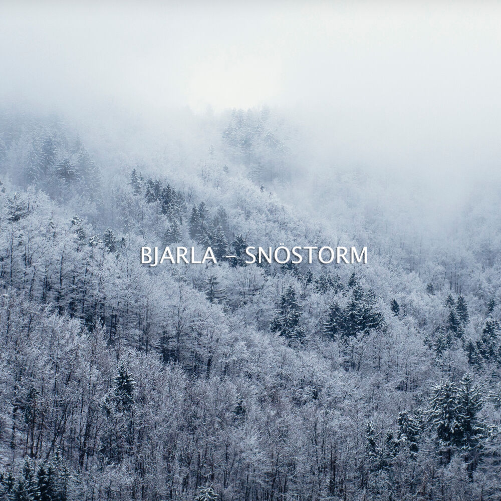 Picture of Snöstorm