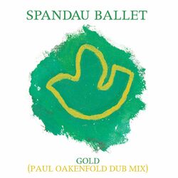 Cover of Gold (Paul Oakenfold Dub Mix)