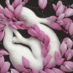 Cover of Плод
