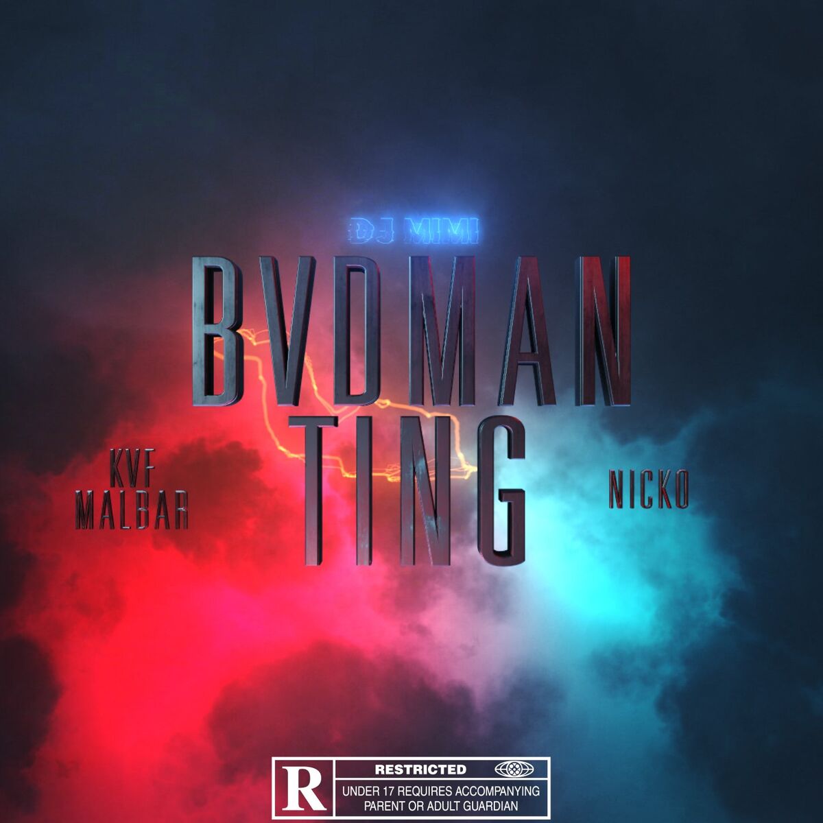Album cover of Bvdman ting