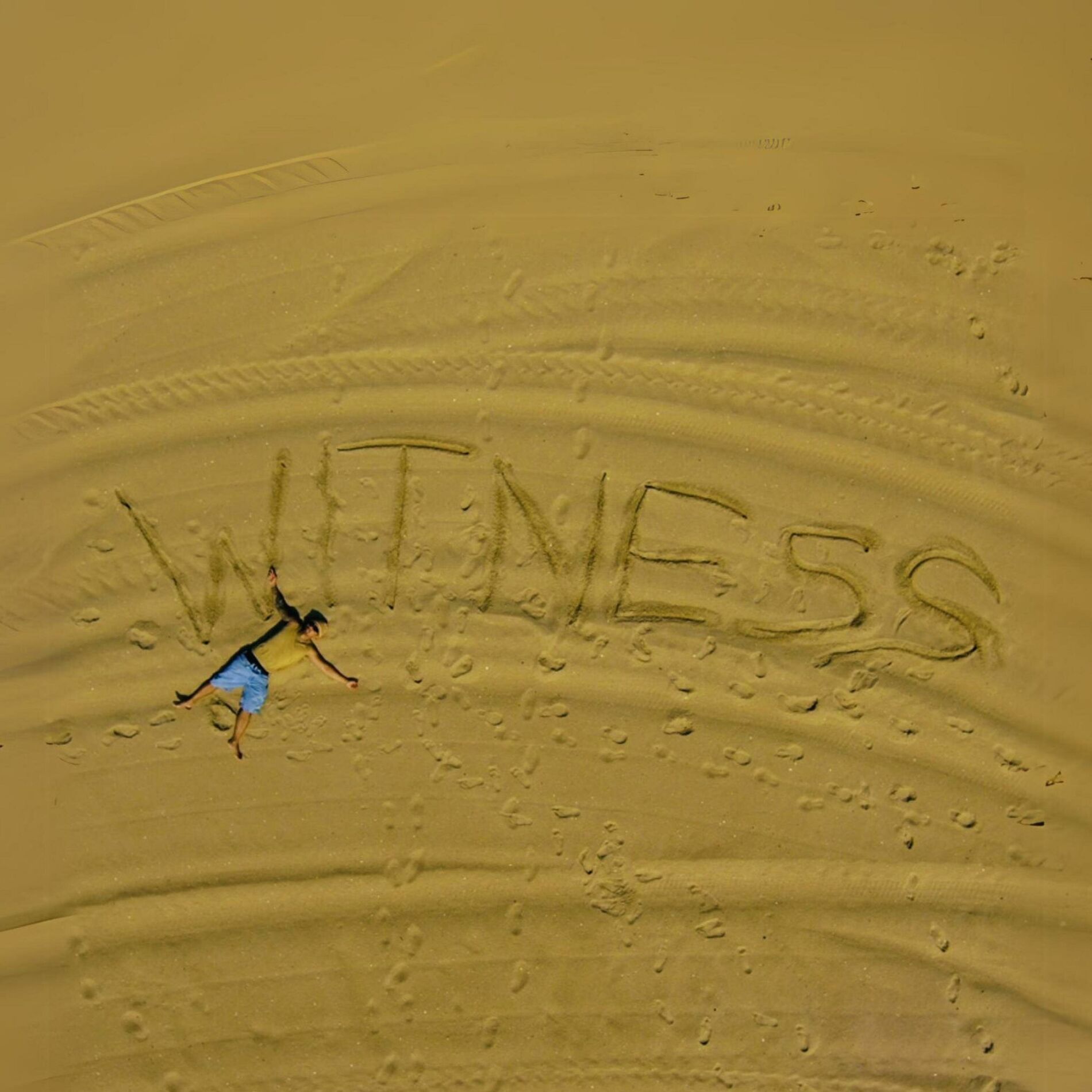 Album cover of Witness