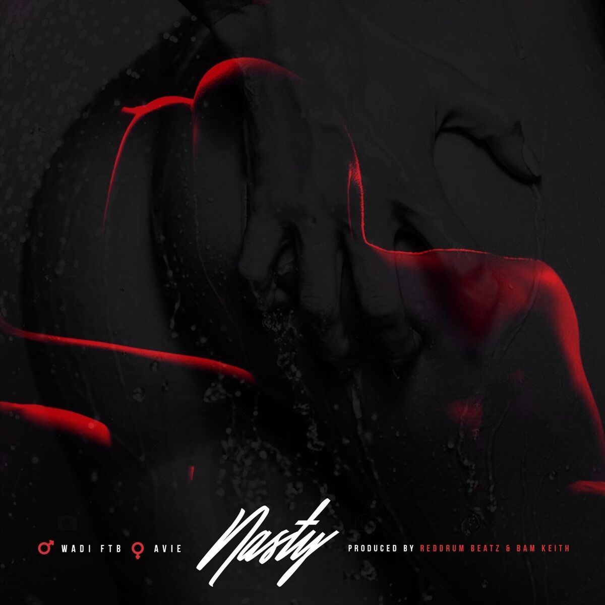 Album cover of Nasty