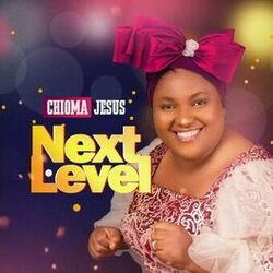 Cover of Next Level