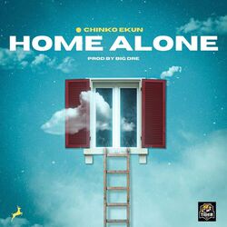 Cover of Home Alone