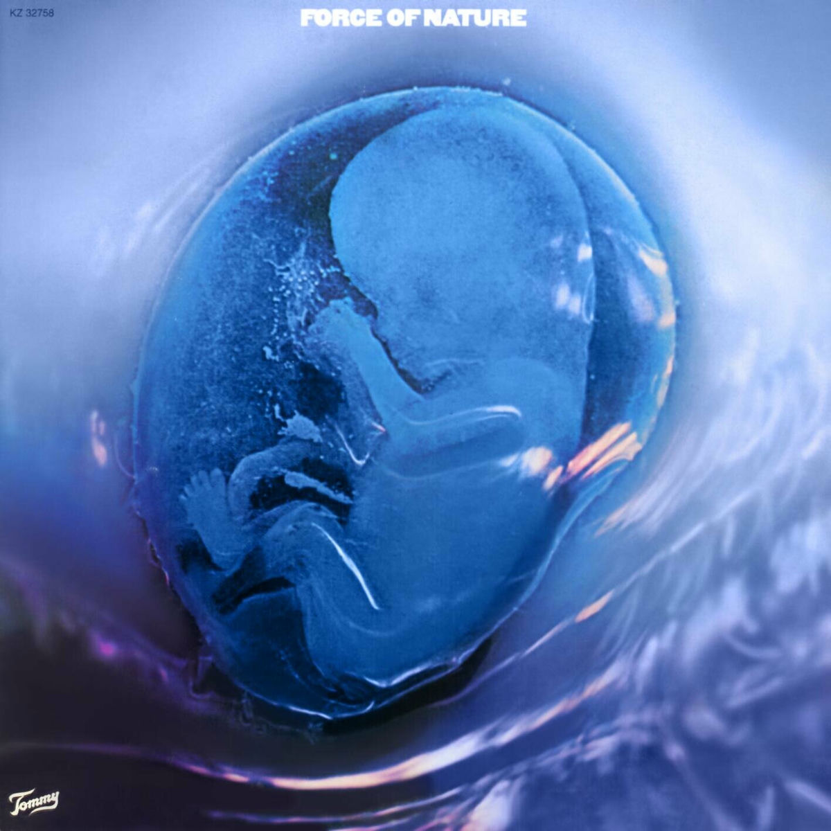 Album cover of Force Of Nature
